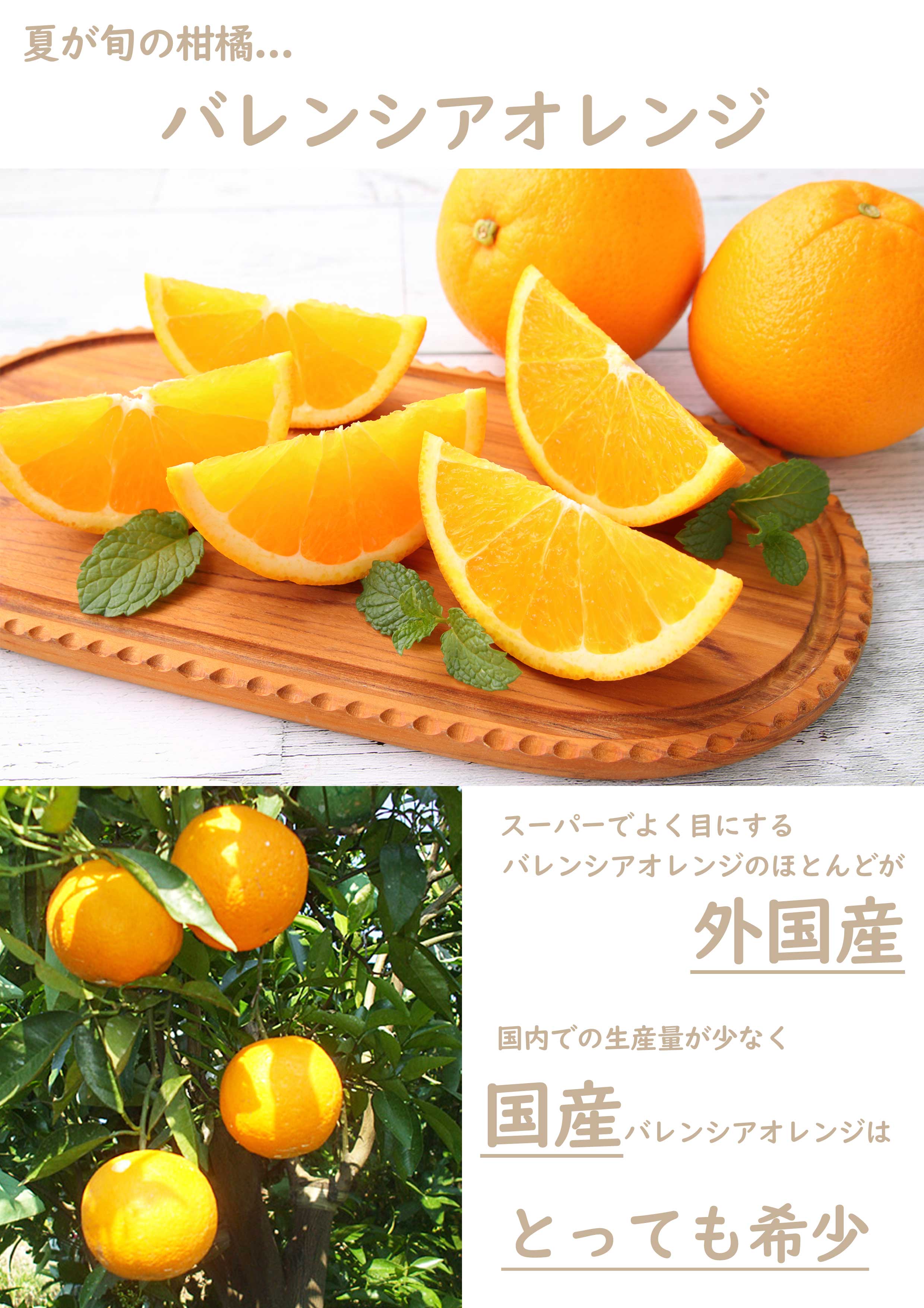 バレンシアオレンジ