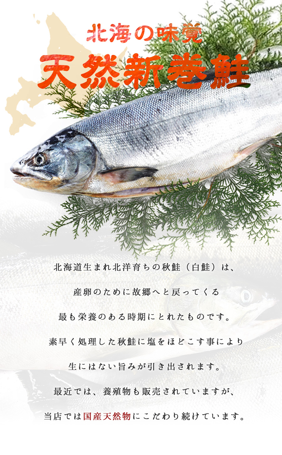 天然新巻鮭（1尾約1.8～2kg）送料無料　A-017～019】　北海道産　とれとれ市場のお歳暮ギフト　冷凍便　※北海道・沖縄県は送料+900円