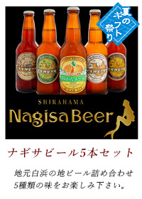 ナギサビール5本セット