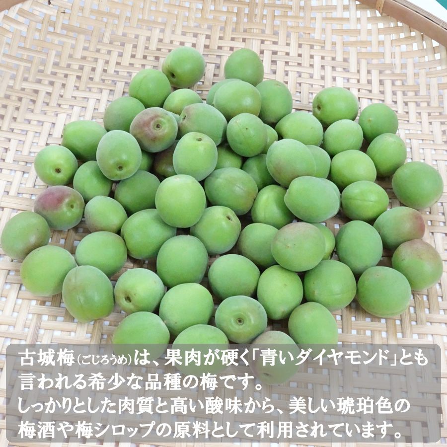 紀州産古城梅（青梅）