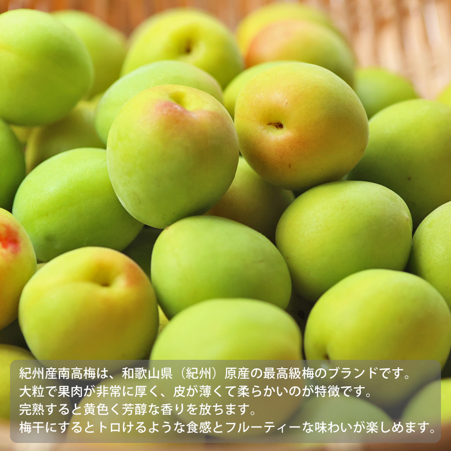 細尾_南高梅_青梅