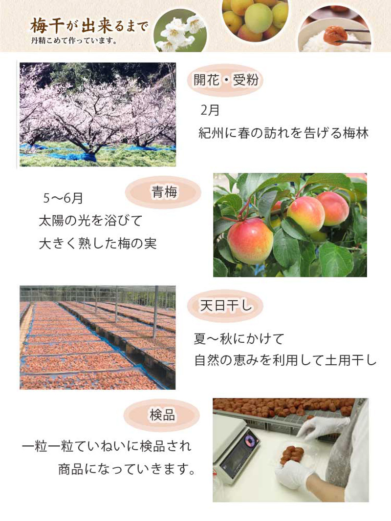 とれとれ市場オンラインショップ ｜ 「一粒千梅」極選の梅（20個入）