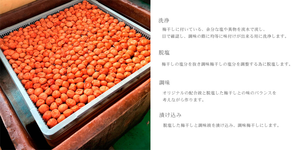 5年熟成梅干　種抜き白干し　10kg入り 紀州南高梅 種抜き梅干し 美味たまり梅 はちみつ入 塩分5% 370g