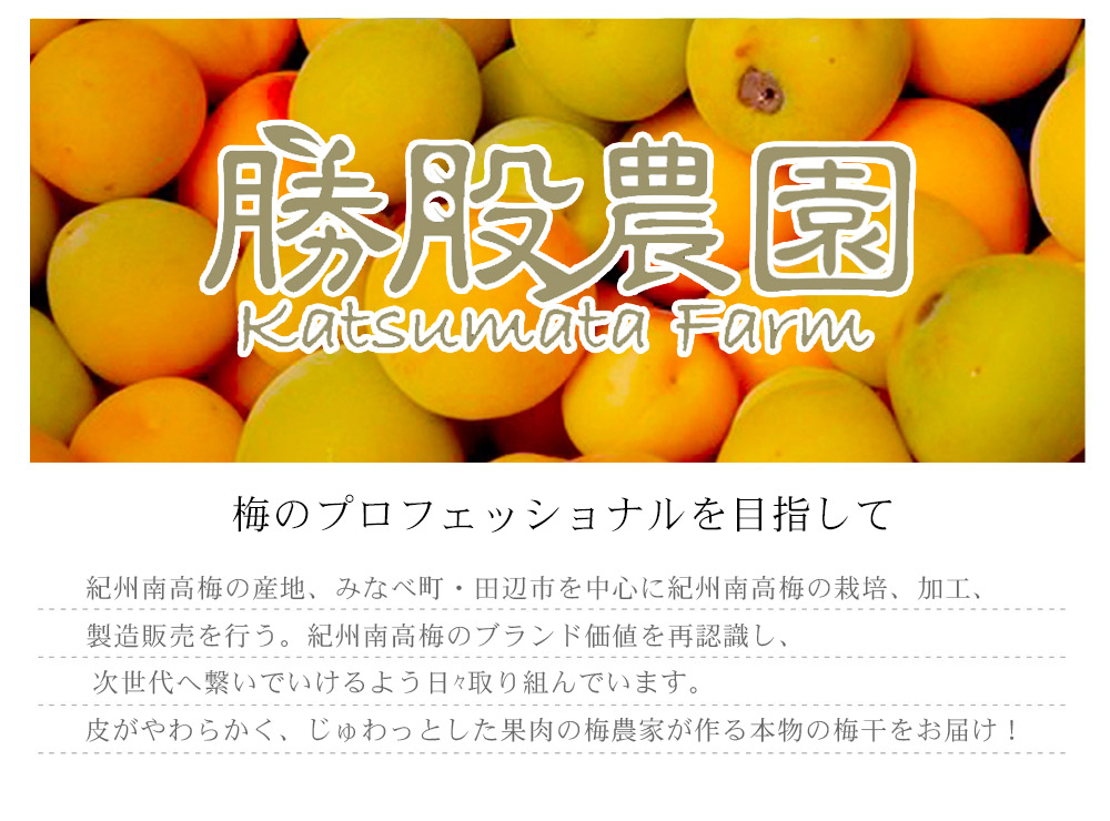 種抜き白干し梅 10kg 塩分約18% 無添加　無選別 紀州南高梅（梅干し） 白干し梅 10kg （塩分22％）業務用 樽入り