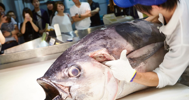 マグロ解体ショー