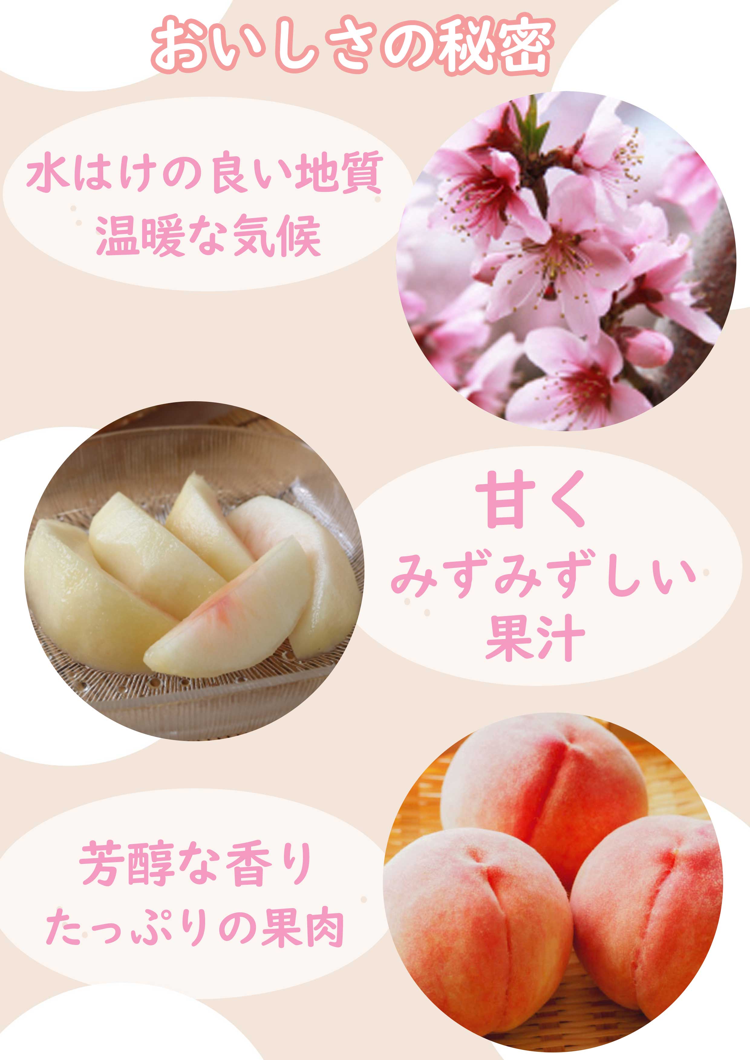 桃