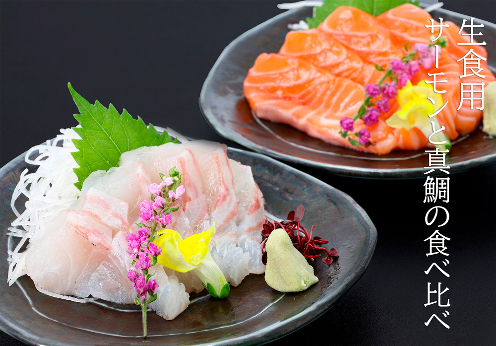 サーモンと真鯛