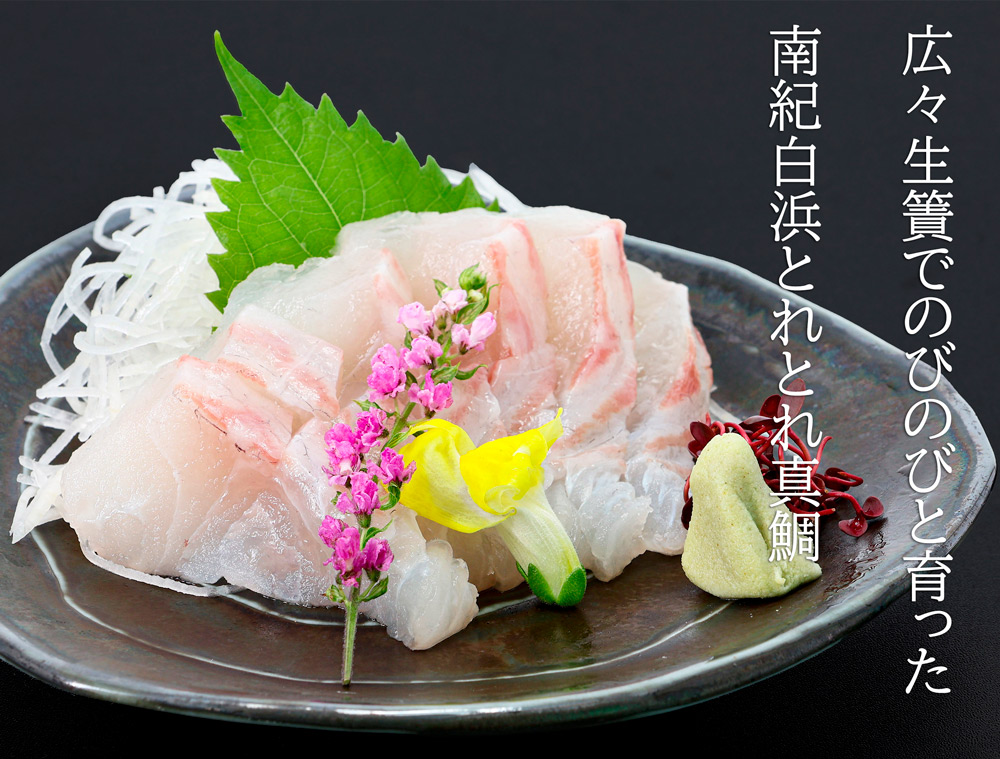 サーモンと真鯛