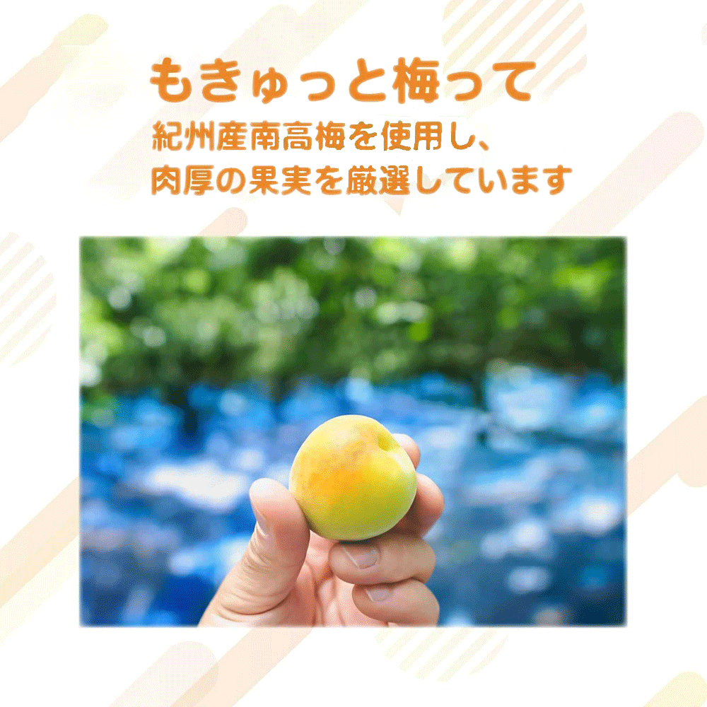 とれとれ市場オンラインショップ ｜ 勝股農園 もきゅっと梅 種抜き白干し梅