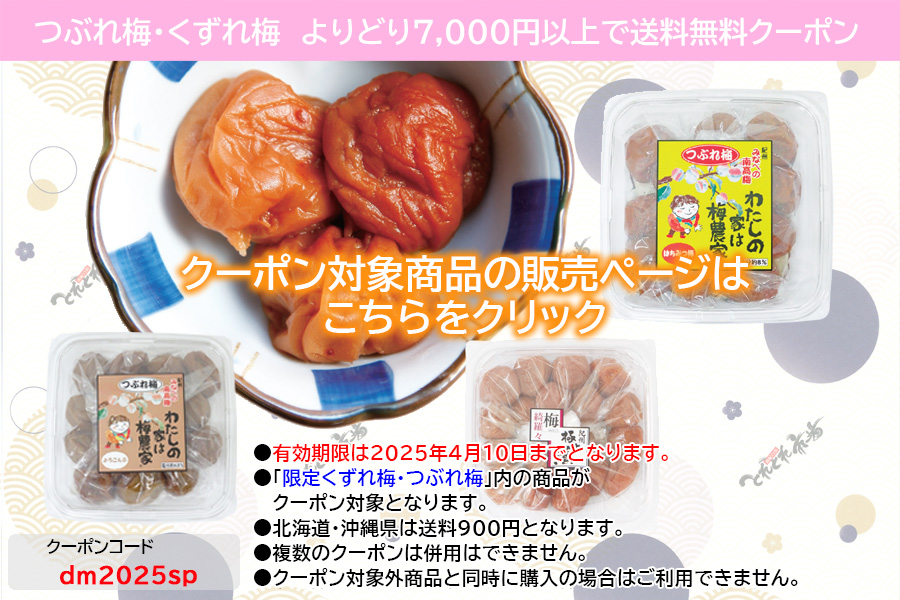 くずれ梅・つぶれ梅よりどり7000円クーポン　2025年春DM