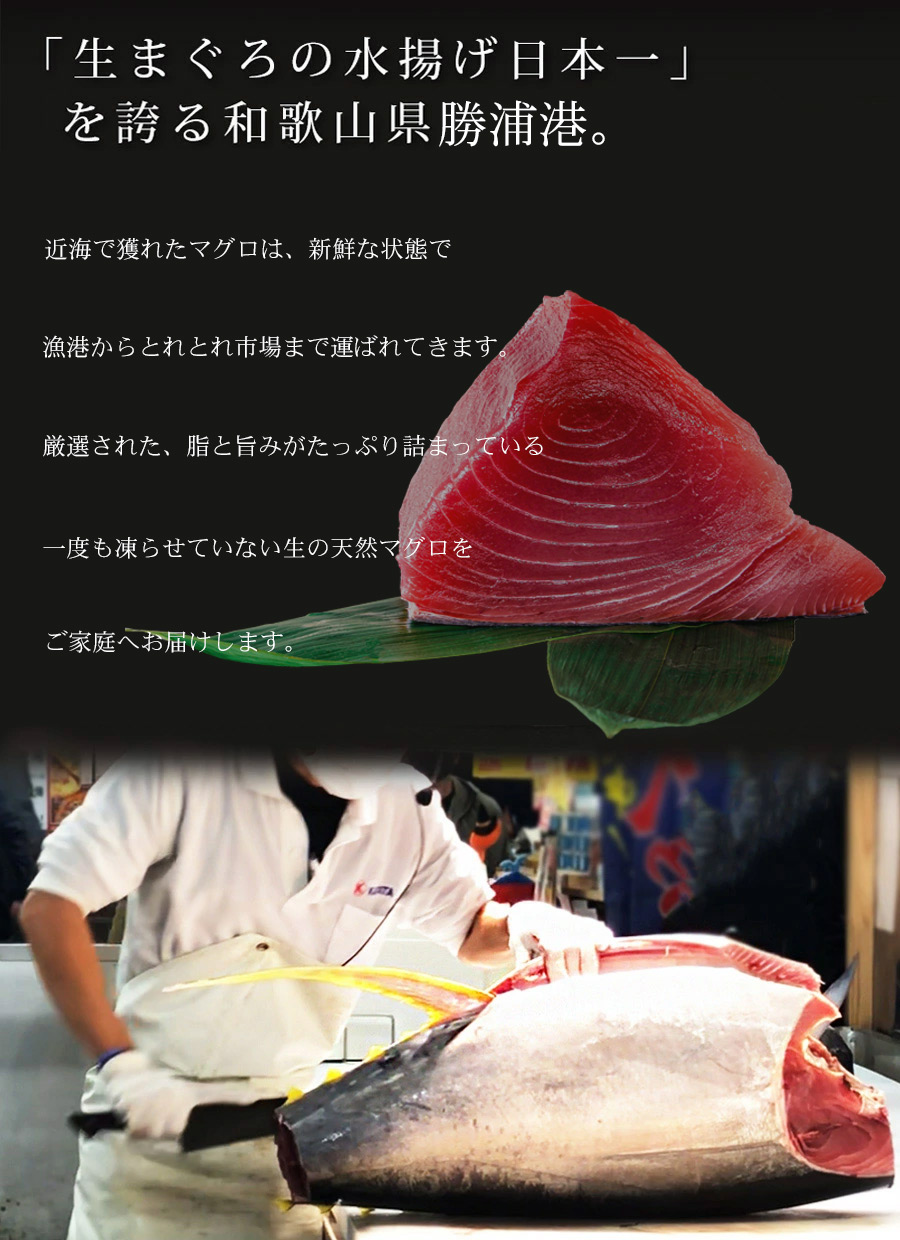 和歌山県産まぐろ