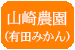 山崎農園
